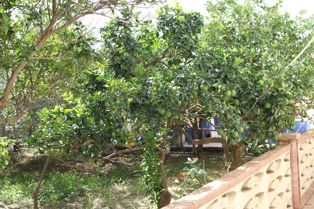B&B Giarrizzo Licata Exterior photo